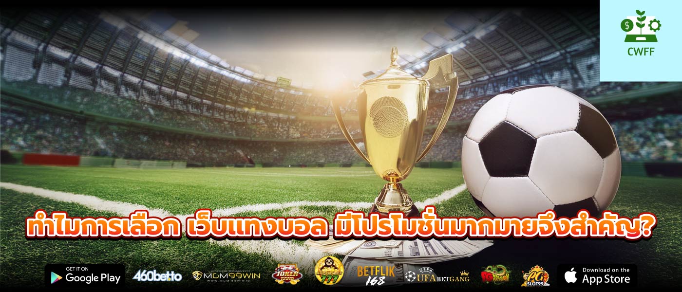 ทำไมการเลือก เว็บเเทงบอล มีโปรโมชั่นมากมายจึงสำคัญ?